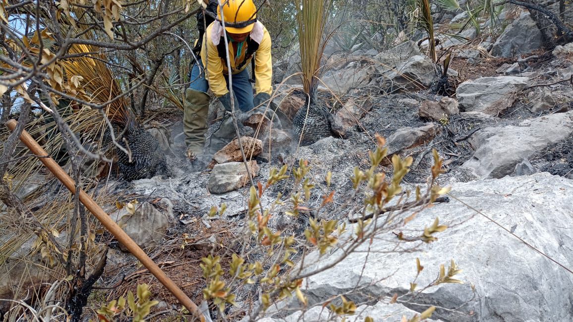 Controlan Incendio Forestal En General Zaragoza En Un 95 Por Ciento