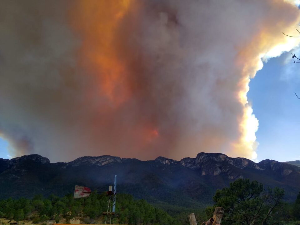 Incendio Forestal En Arteaga Coahuila Se Extiende A Nl Y Afecta Mil Hectáreas Evalúan 9513