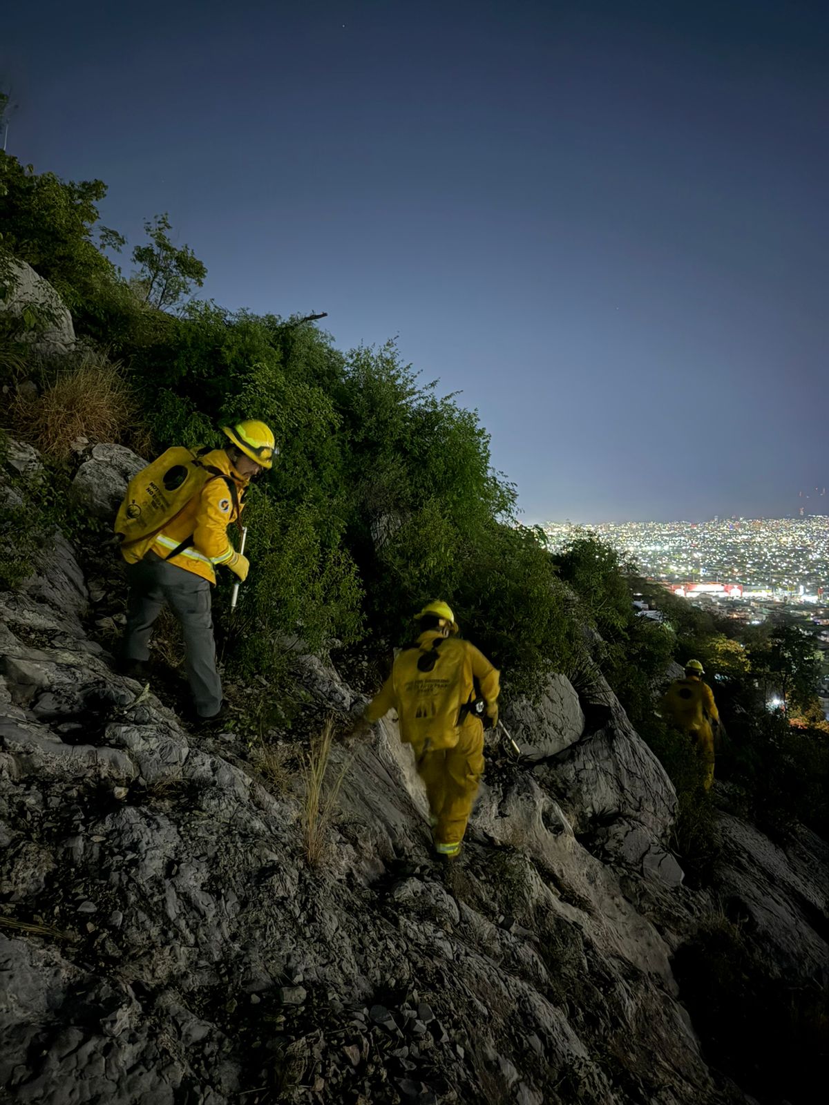 Controlan incendio forestal en el Cerro del Topo Chico - Círculo ...