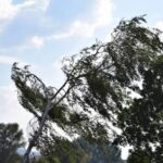 Alertan por fuertes rachas de viento durante la noche en Nuevo León