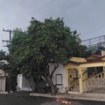 Fuertes rachas de viento y lluvias dejan afectaciones menores en Nuevo León