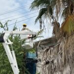 Suspenderá CFE servicio eléctrico en 112 colonias de cuatro municipios