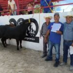Impulsan el campo de Dr. Arroyo con entrega de sementales bovinos