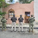 Aseguran más de 220 kilos de marihuana durante operativo en Monterrey