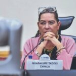 Guadalupe Taddei renunciará al  INE