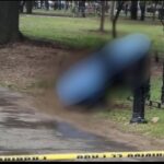 Hallan a un hombre sin vida en una bancada de la Alameda Maríano Escobedo