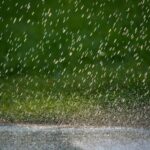 Persisten lluvias durante la noche y madrugada en Nuevo León; alertan por posibles precipitaciones fuertes